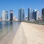 jeffrey ikahn Sharjah Film Platform